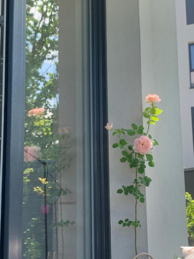 Garden Apartment Self Check-In - Bezkluczowy Dostep W 10 Minut O Kazdej Porze Cracovie Extérieur photo